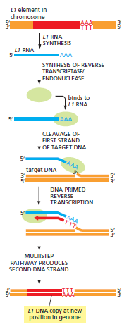 Figure 5-63.png